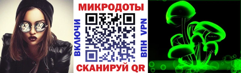 где можно купить   Змеиногорск  Галлюциногенные грибы мицелий 